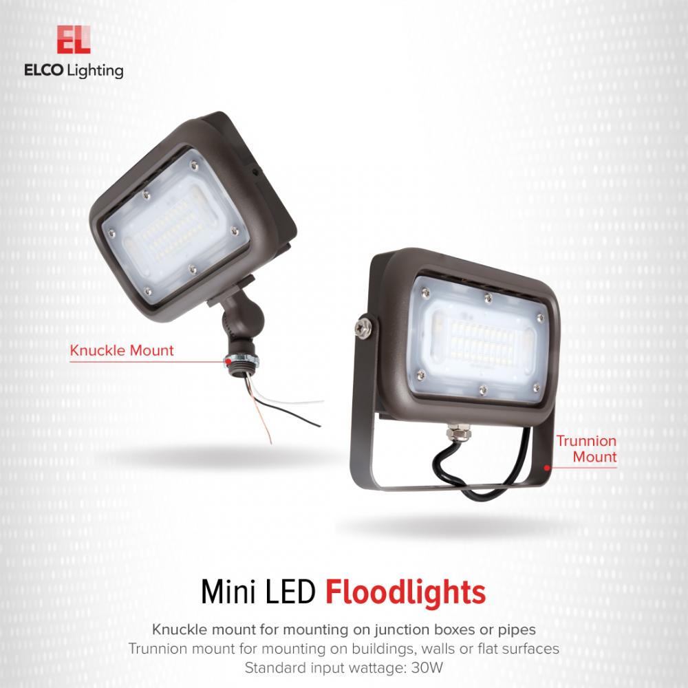 Mini LED Floodlight