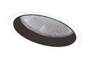 6" Sloped Reflector with Albalite Lens Trim