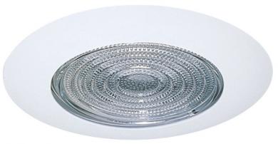 6" Shower Trim with Reflector and Fresnel Lens